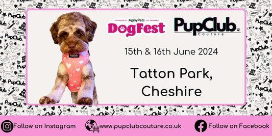 PupClub Couture - Dog Fest 2024 Festival Event Show