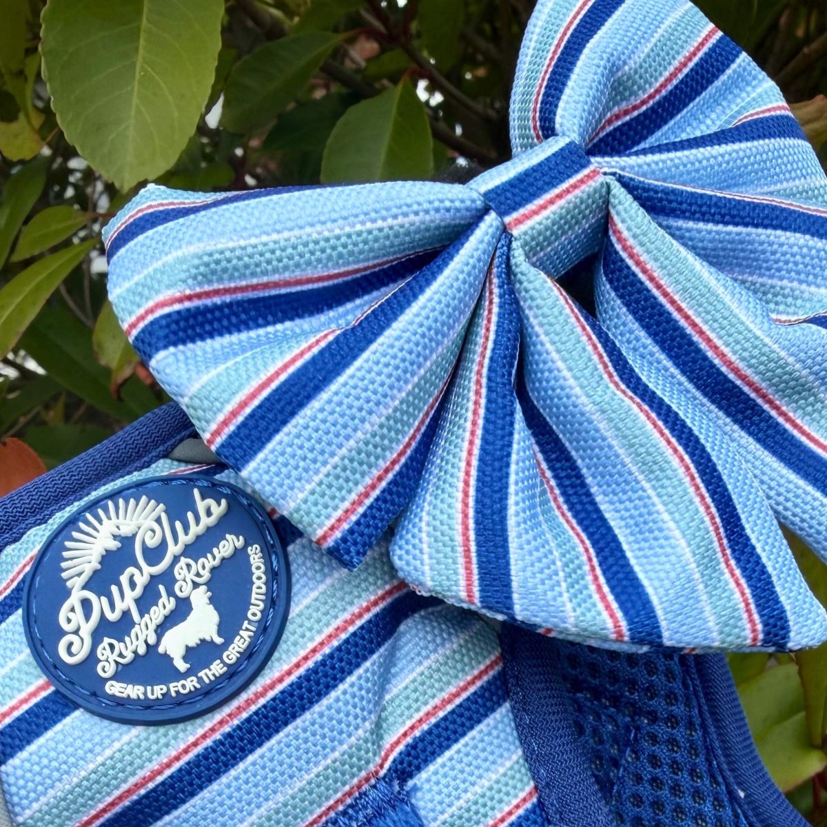 Dog Bow - Sea Breeze Stripes - Pupclub_couture