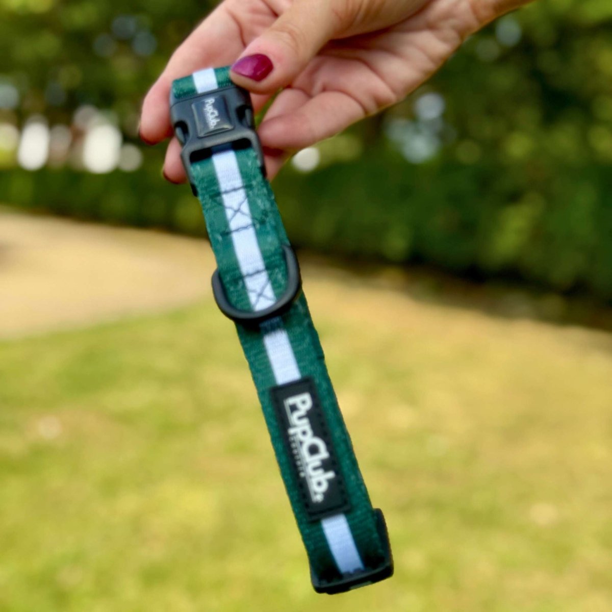 Dog Collar - Forest Green - Pupclub Couture