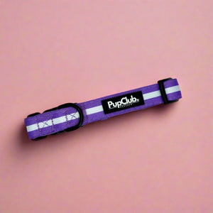 Dog Collar - Lilac Blush - Pupclub Couture
