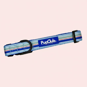Dog Collar - Sea Breeze Stripes - PupClub Couture