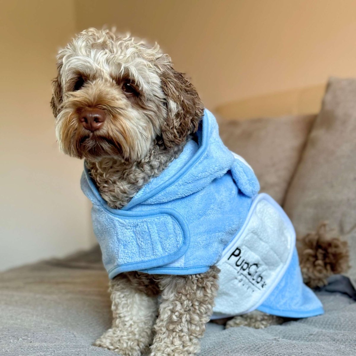Dog wearing Drying Robe - blue - Pupclub Couture