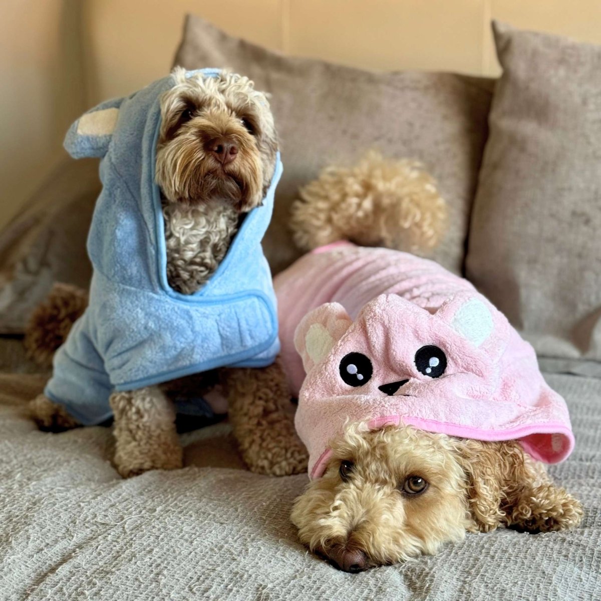 Dogs wearing Dog Drying Robe - Pink - Pupclub Couture