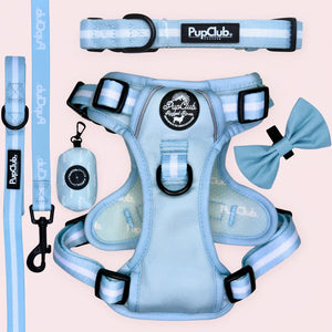 Rugged Rover Dog Harness Bundle - Pastel Blue - Pupclub Couture