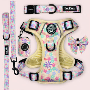 Rugged Rover Dog Harness Bundle - Pretty Petals- PupClub Couture