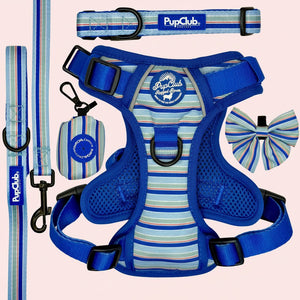 Dog Harness Bundle - Sea Breeze Stripes - Pupclub Couture