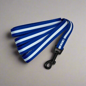 Dog Lead - Royal Blue - Pupclub Couture