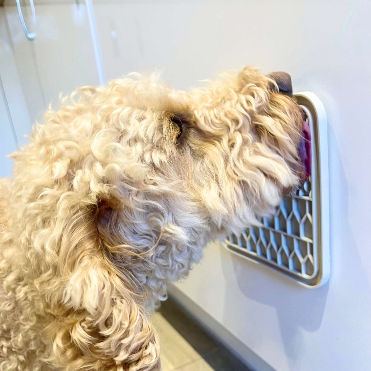 Dog Lick Mat - Cream - PupClub Couture