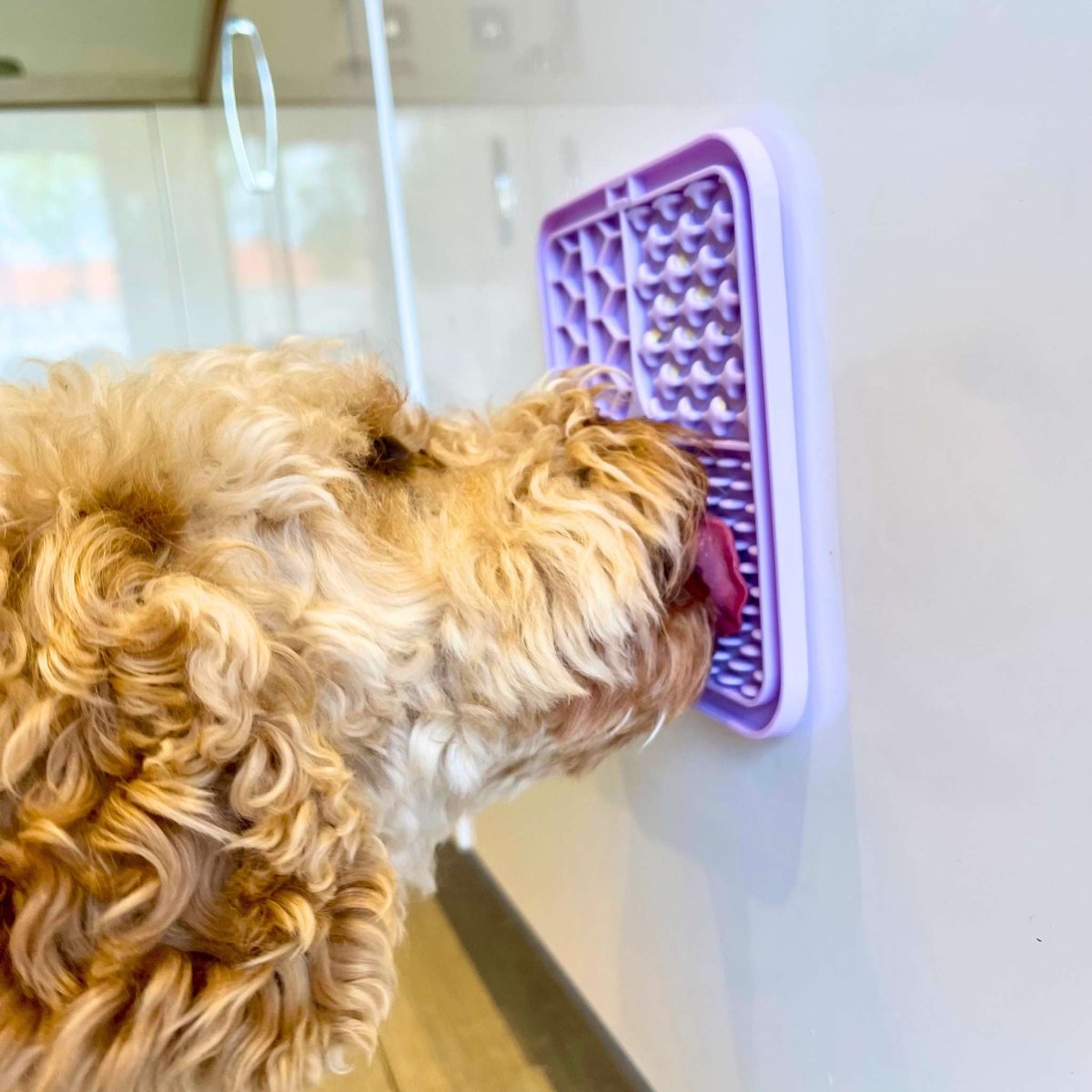 Dog Lick Mat - Lilac - PupClub Couture