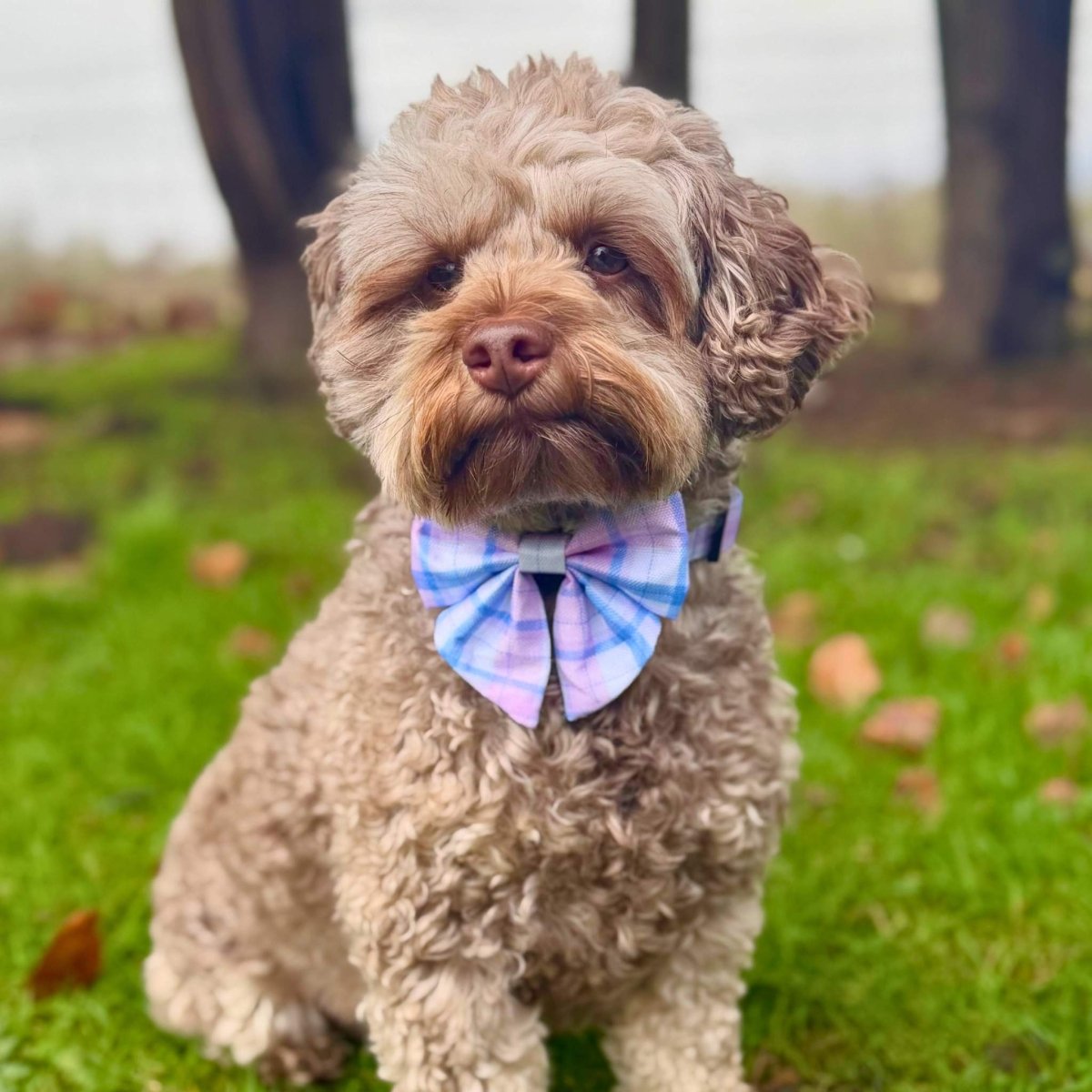 Dog Bow - Pink Tartan - Pupclub Couture