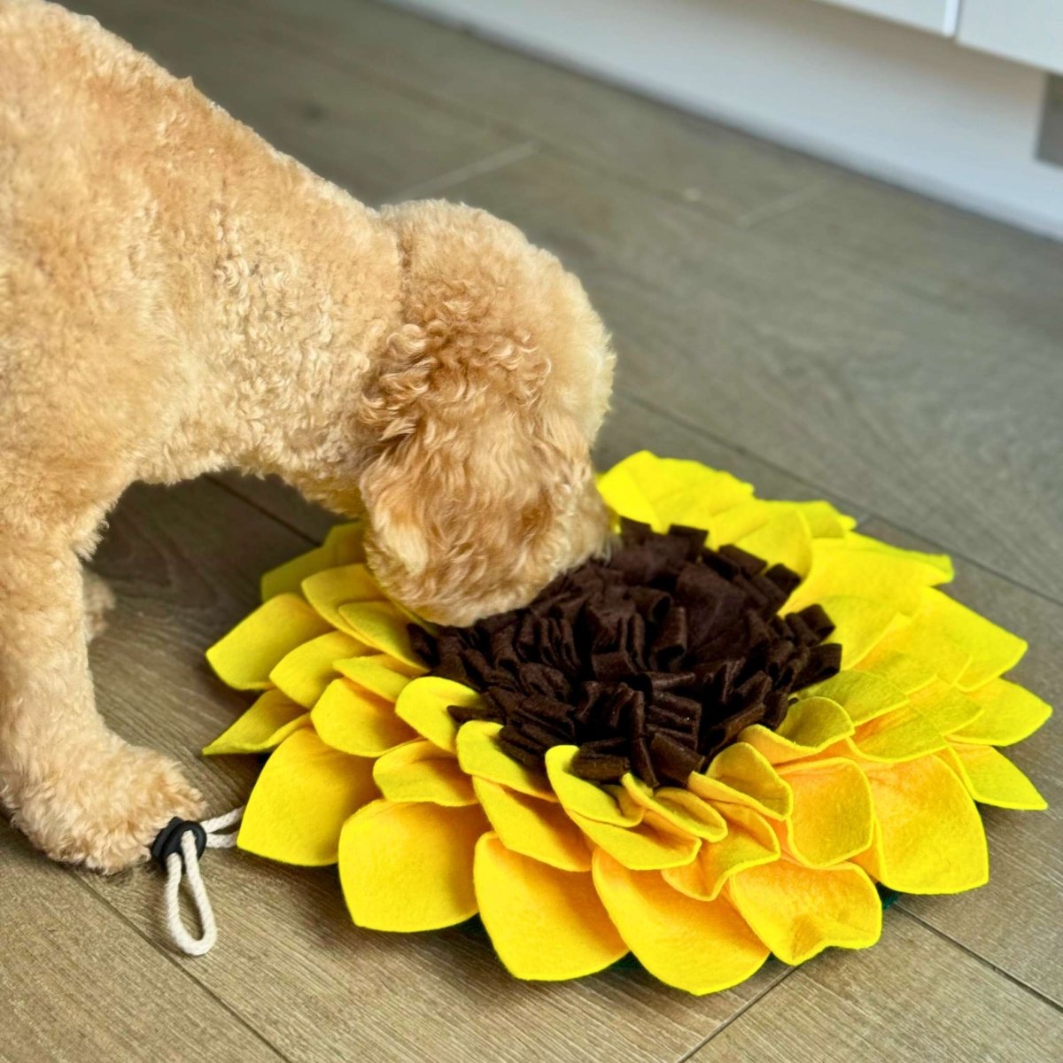 Dog using Snuffle Mat Sunflower - PupClub Couture