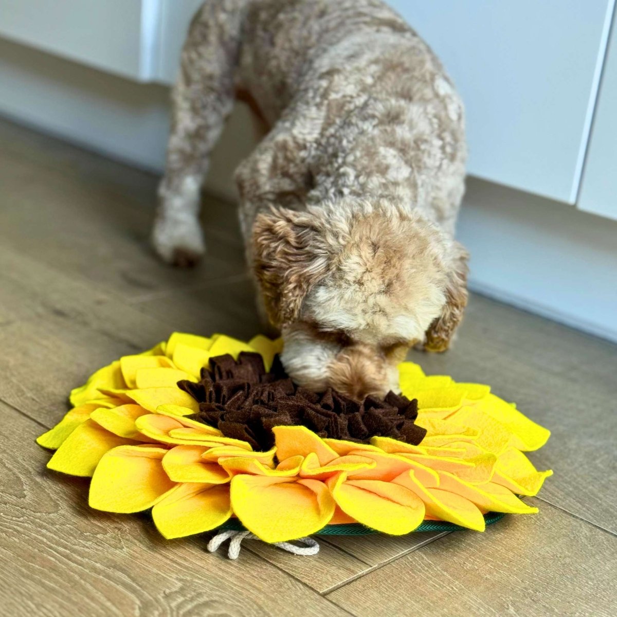 Dog using Snuffle Mat Sunflower - PupClub Couture