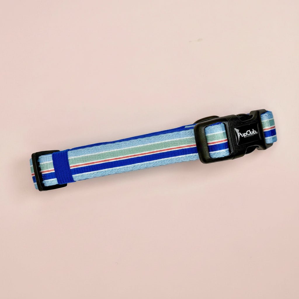 Striped dog collarfrom Pupclub Couture
