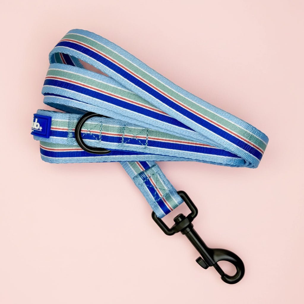Striped dog leash with blue and red accents from PupClub Couture