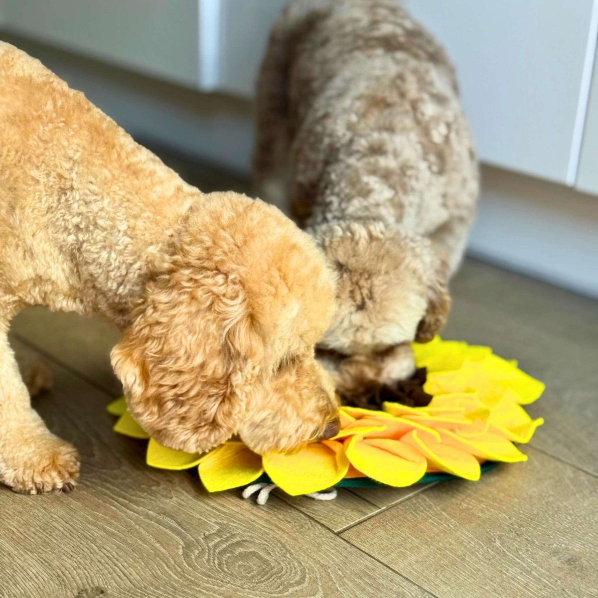 Dogs using Snuffle Mat Sunflower - PupClub Couture
