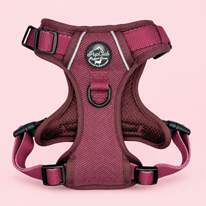 Rugged Rover No Pull Dog Harness - Red Berry Tweed - PupClub Couture