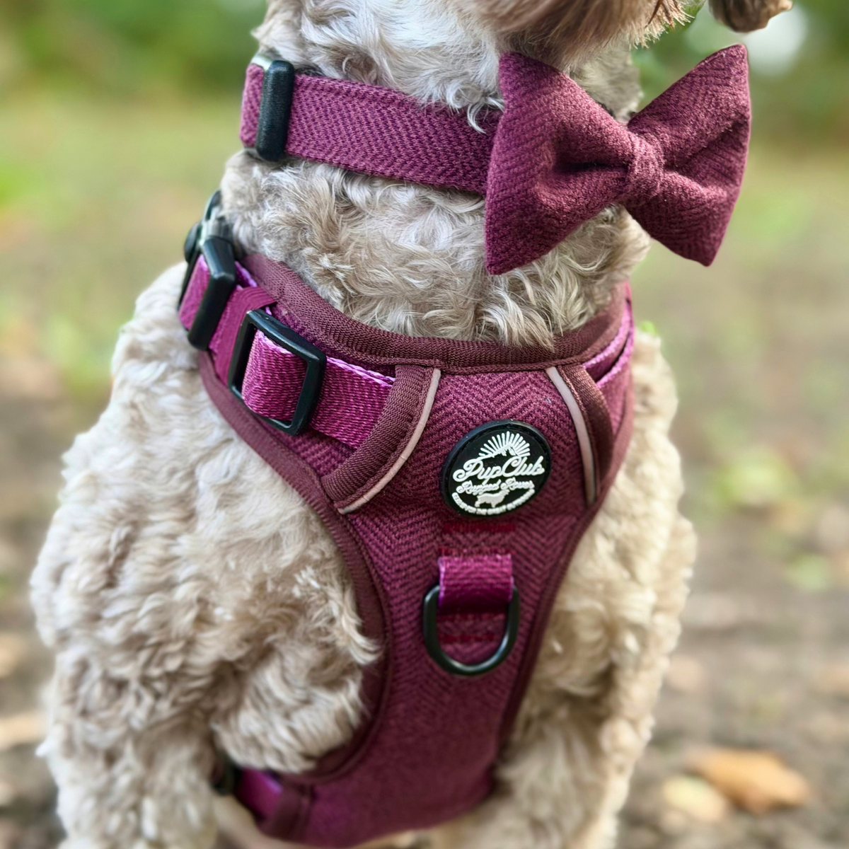 Rugged Rover Dog Harness - Red Berry Tweed - Pupclub Couture