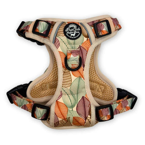 rugged rover dog harness - autumn breeze - PupClub Couture