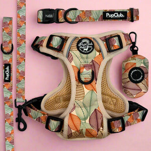 Rugged Rover Dog Harness Bundle - Autumn Breeze - Pupclub Couture