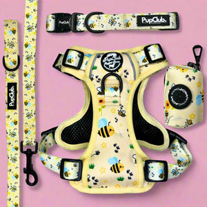 Rugged Rover Dog Harness Bundle - Beeutiful Summer - Pupclub Couture