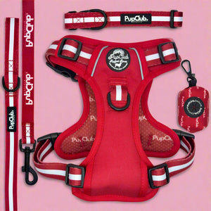 Rugged Rover Dog Harness Bundle - Berry Red - Pupclub Couture