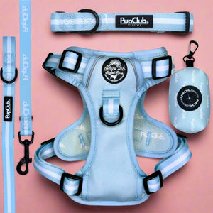 Rugged Rover Dog Harness Bundle - Pastel Blue - Pupclub Couture
