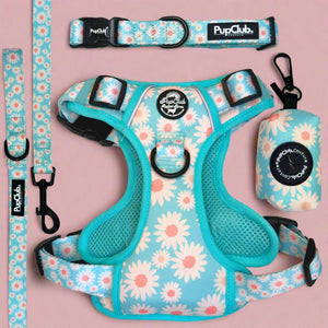 Rugged Rover Dog Harness Bundle - Pastel Daisy - Pupclub Couture