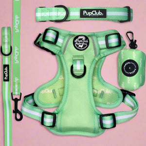Rugged Rover Dog Harness Bundle - Pastel Green - Pupclub Couture