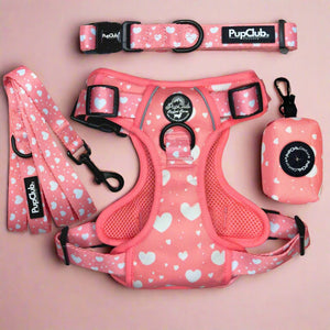 Rugged Rover Dog Harness Bundle - Peachy Hearts - Pupclub Couture