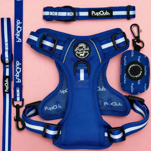 Rugged Rover Dog Harness Bundle - Royal Blue - Pupclub Couture