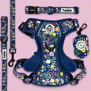 Rugged Rover Dog Harness Bundle - Summer Meadow - PupClub Couture