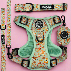 Rugged Rover Dog Harness Bundle - Woodland Friends - Pupclub Couture