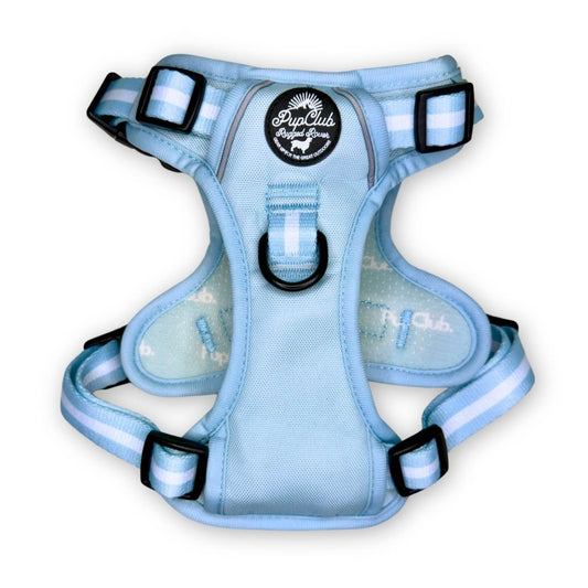 rugged rover dog harness pastel blue front PupClub Couture