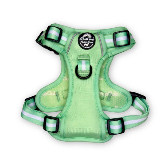 rugged rover dog harness pastel green front PupClub Couture