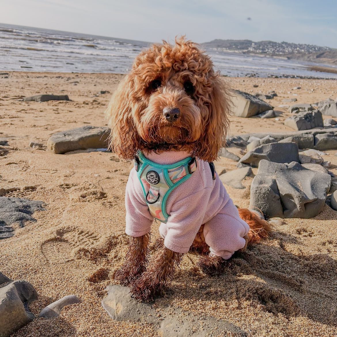 tough rugged rover dog harness pastel waves cockapoo pupclub couture