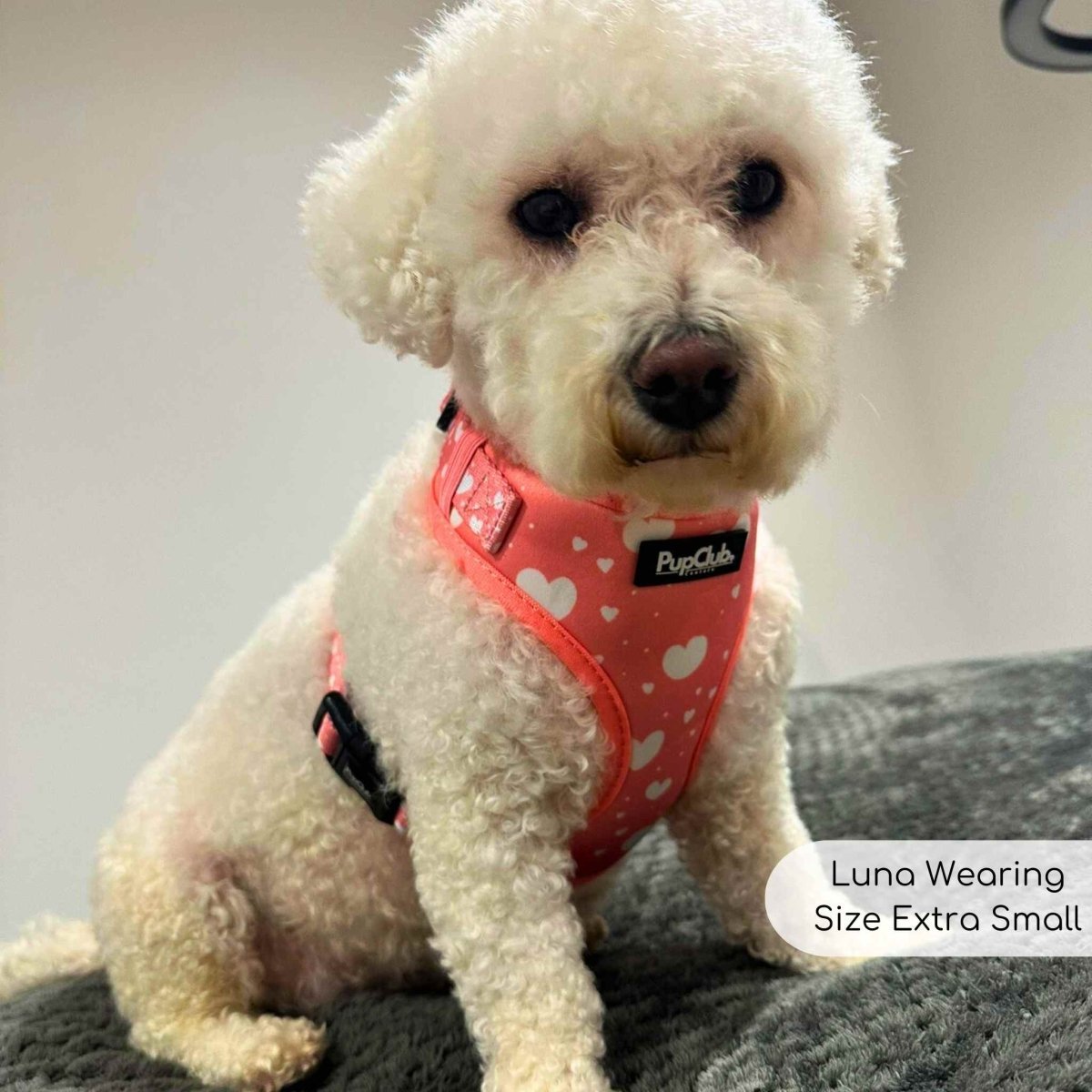 adjustable harness peachy hearts luna - Pupclub Couture