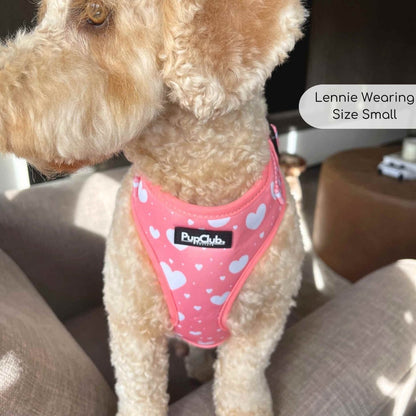 Adjustable harness peachy hearts - cavapoo - pupclub couture
