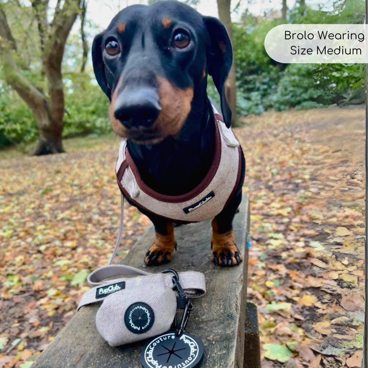 poo bag holder treat bag - tweed brown - brolo