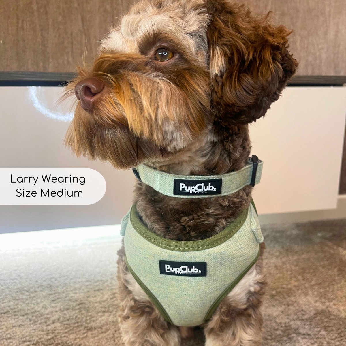 collar_tweed Sage_larry