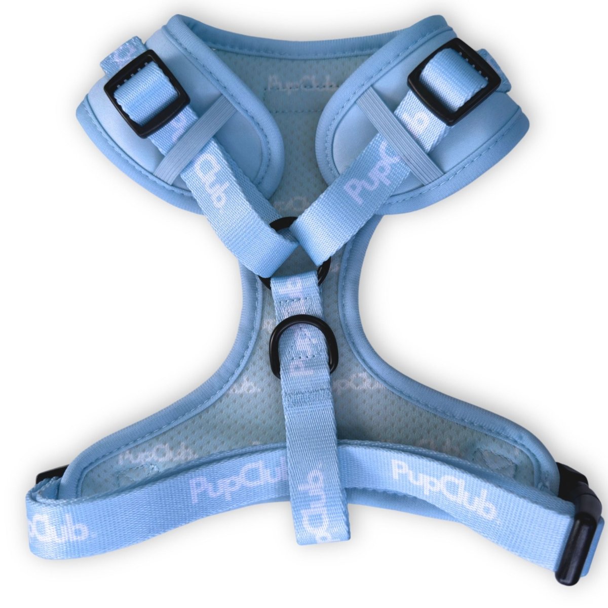 Pastel Blue adjustable dog harness - back