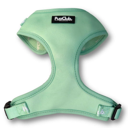 adjustable harness - pastel mint green front