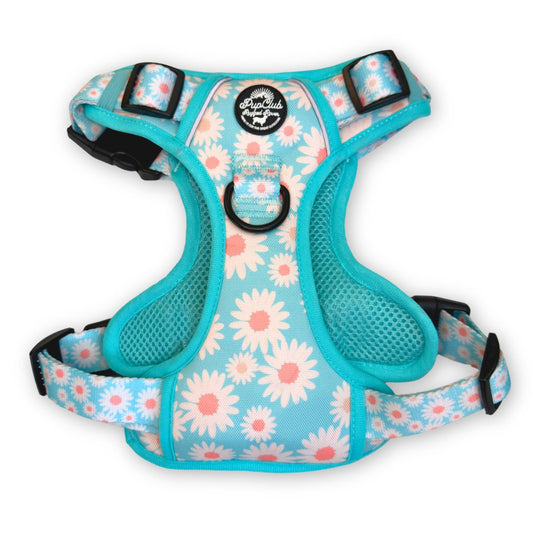 Rugged Rover Harness - Pastel Daisy front