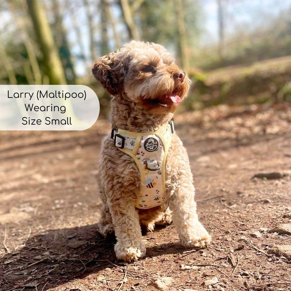 Get your dog summer ready - PupClub Couture
