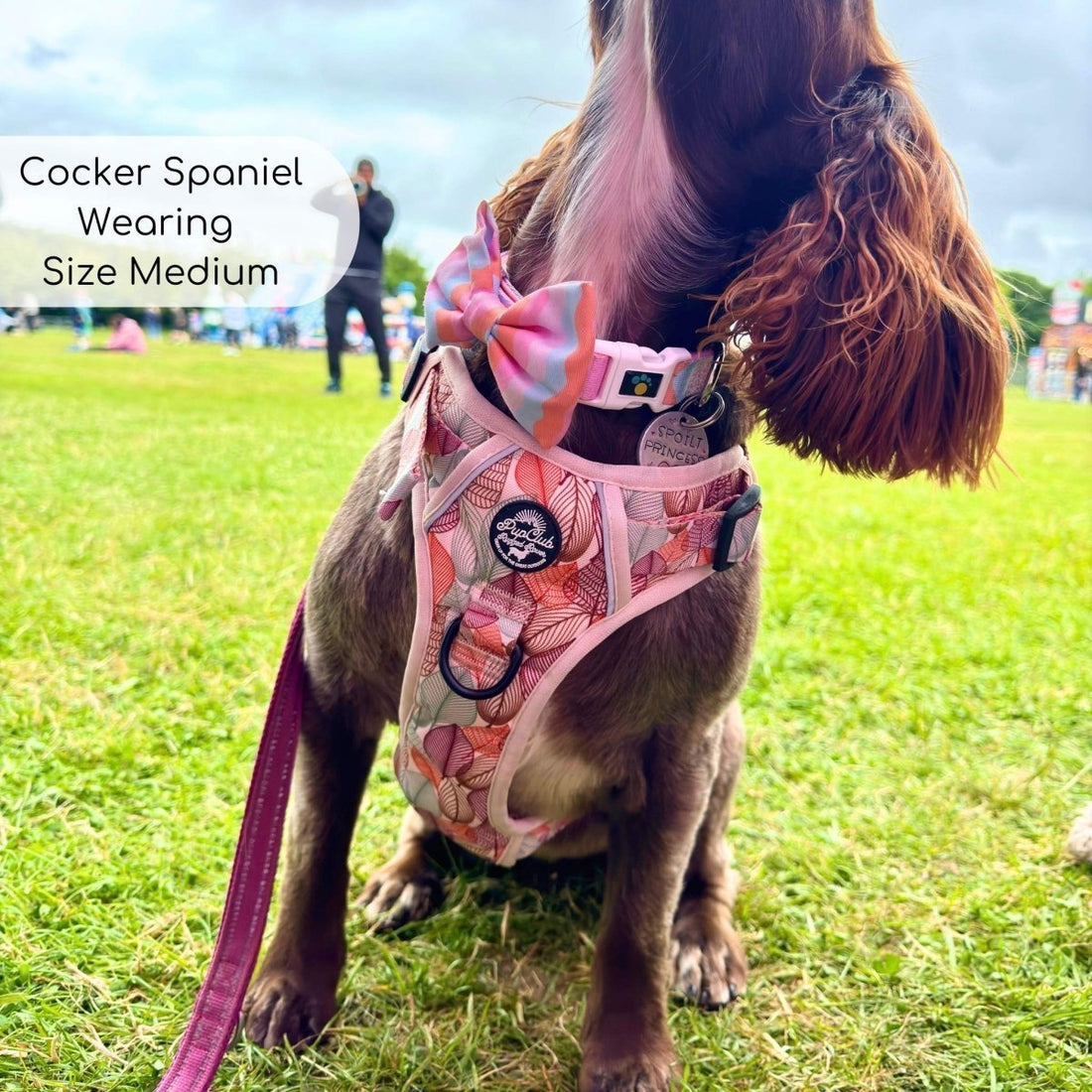 Best Harness for Reactive Dogs UK 2026: Complete Safety & Control Guide