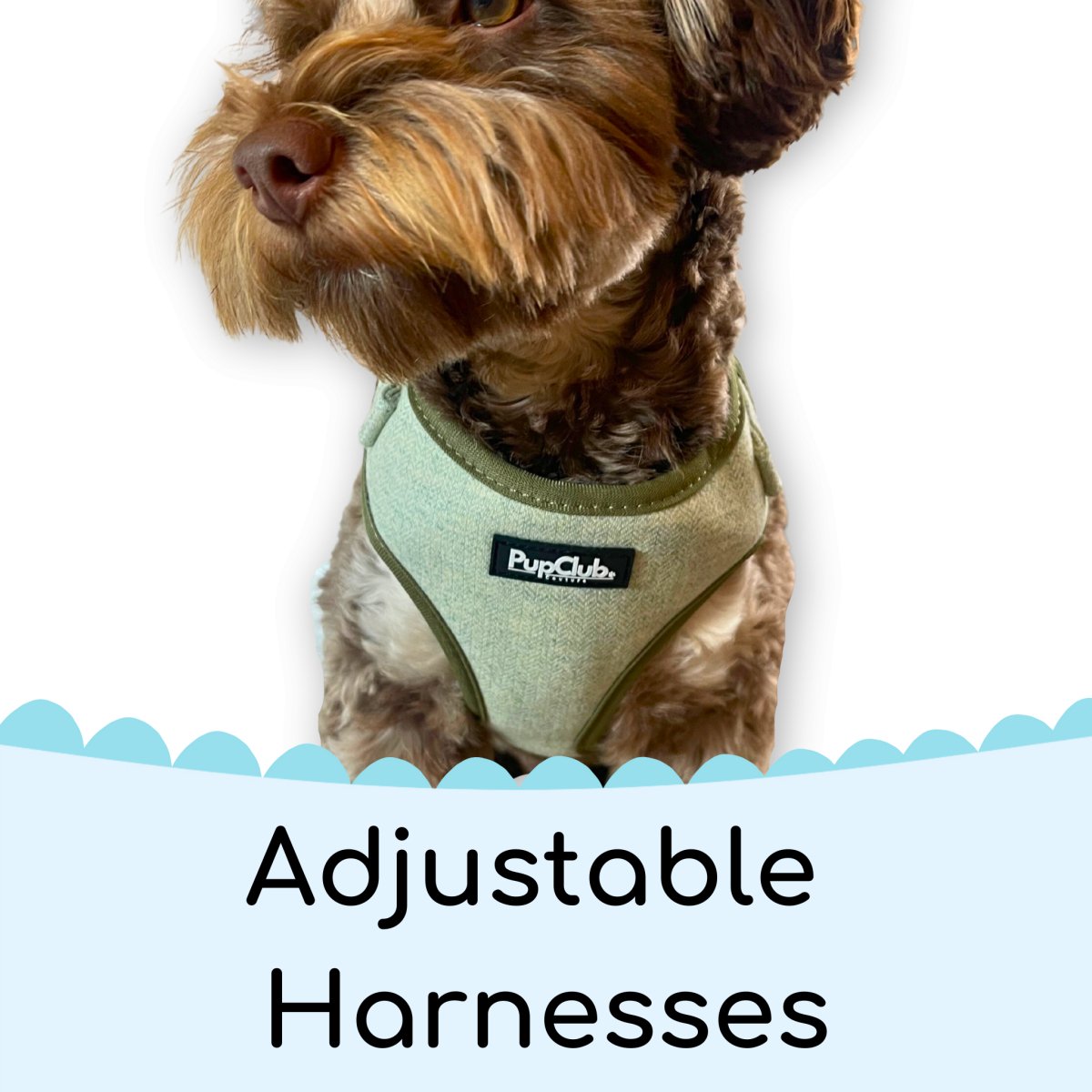 Dog Harness Medium Breed Sassy Woof Comfort Dual-Clip Adjustable