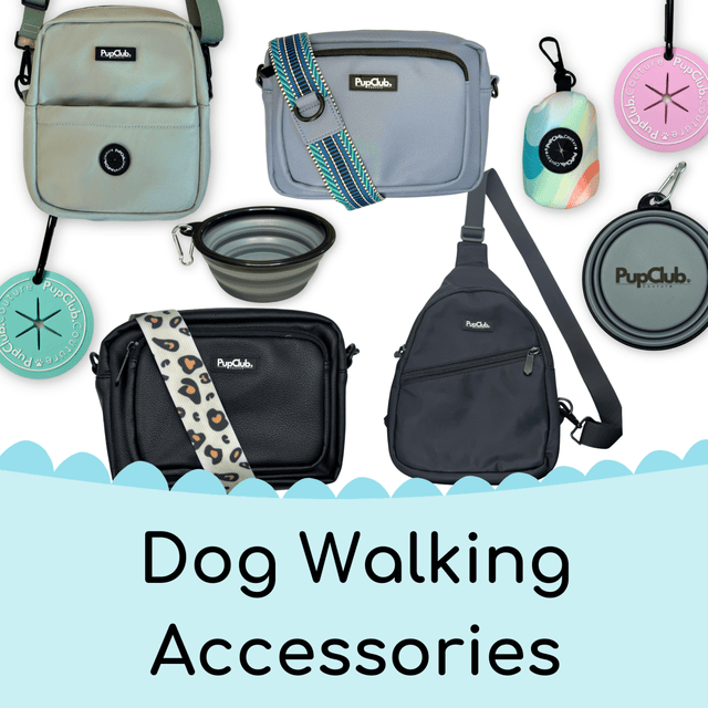 Dog Walking Accessories