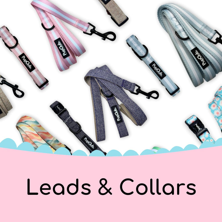 PupClub Couture – Dog Accessories and Harnesses – Shop Now