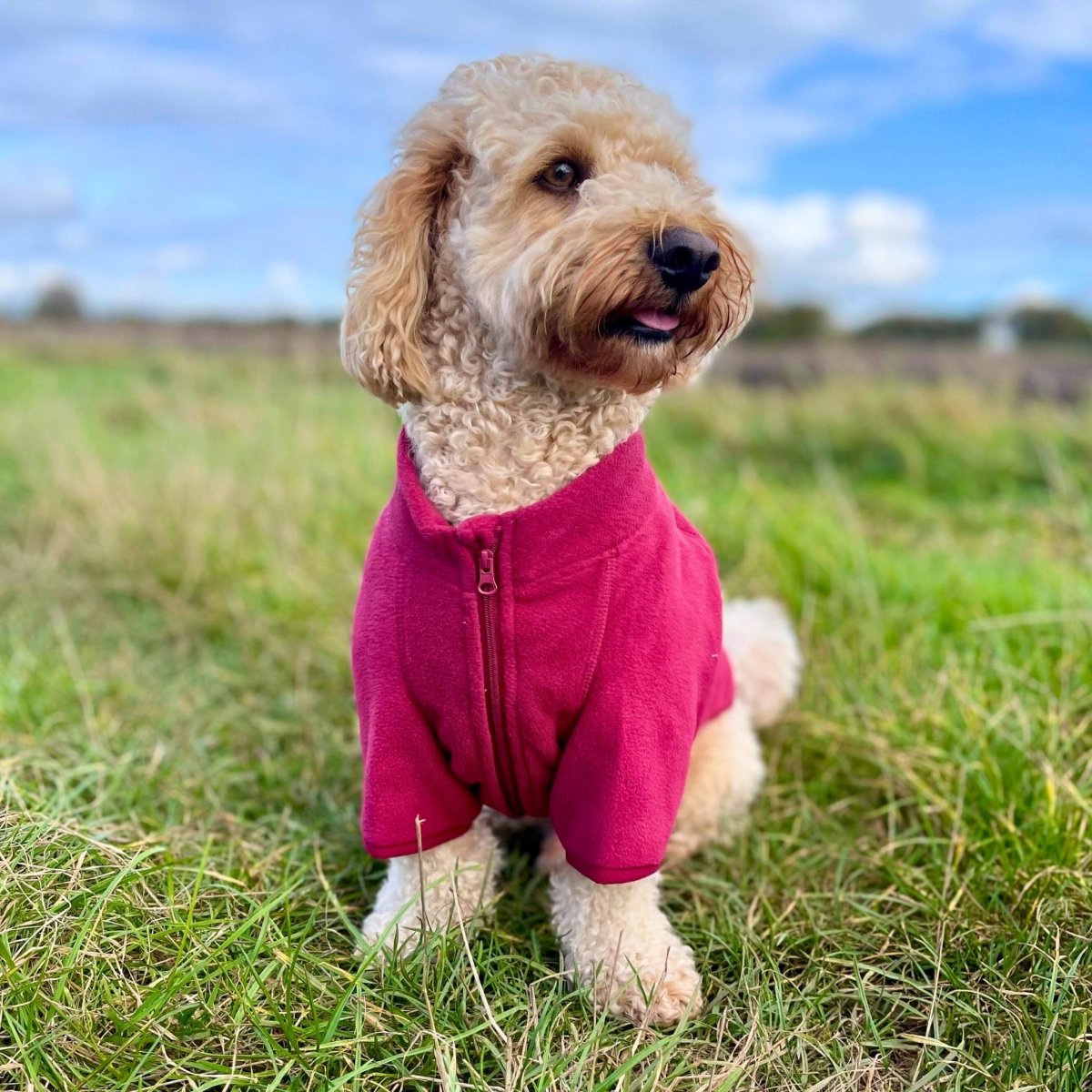 Dog Fleece Coat Jacket - Berry red - Pupclub Couture