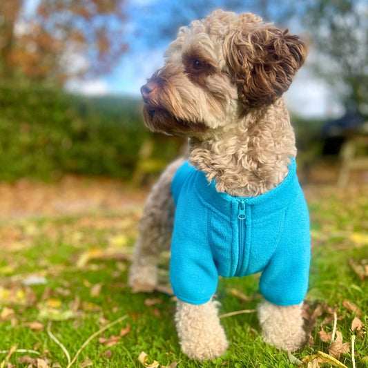 Dog Fleece Coat Jacket - Blue - Pupclub Couture