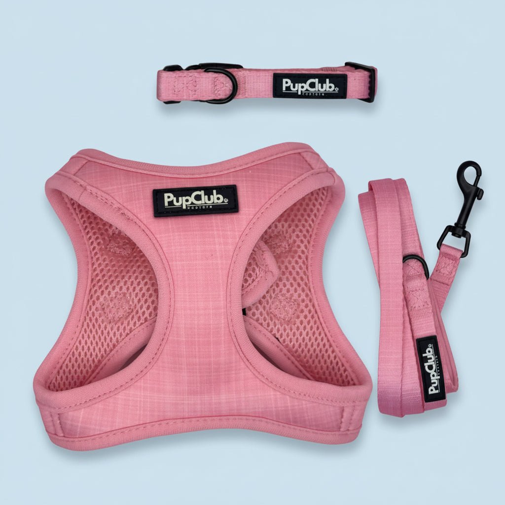 Puppy Harness Bundle - Pink - Pupclub Couture